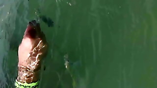 Resort holidays with sun, sea and lots of sex