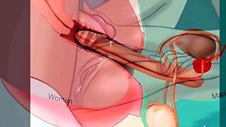 Befruchtung der Stute - Lehrvideo